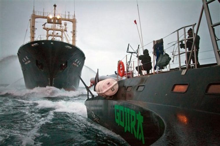 In this Feb. 9 photo released by the Sea Shepherd Conservation Society, activists aboard the high-speed trimaran Gojira prepare to fire a slingshot toward the Japanese whaling factory ship Nisshin Maru on Feb. 9 in Southern Ocean, Antarctica. 